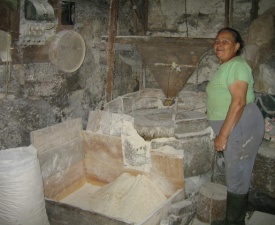 Torcato breadmill